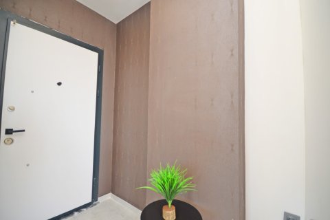 1+1 Wohnung  in Alanya, Antalya, Türkei Nr. 216473 - 4