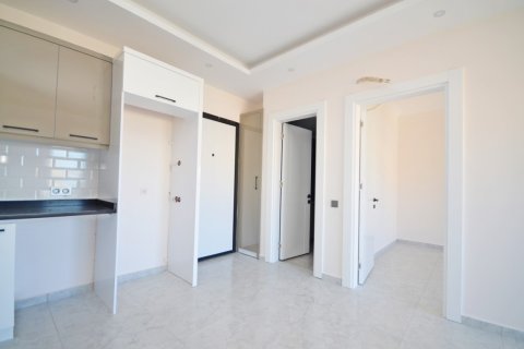 1+1 Wohnung  in Alanya, Antalya, Türkei Nr. 216469 - 12