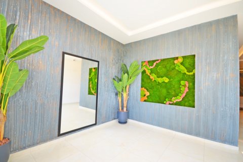 1+1 Wohnung  in Alanya, Antalya, Türkei Nr. 216469 - 27