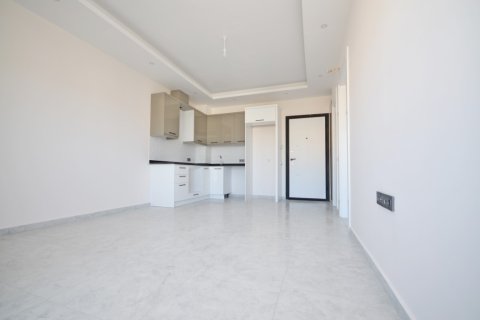 1+1 Wohnung  in Alanya, Antalya, Türkei Nr. 216469 - 8
