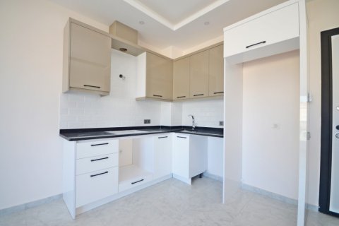 1+1 Wohnung  in Alanya, Antalya, Türkei Nr. 216469 - 10