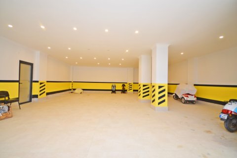 1+1 Wohnung  in Alanya, Antalya, Türkei Nr. 216469 - 26