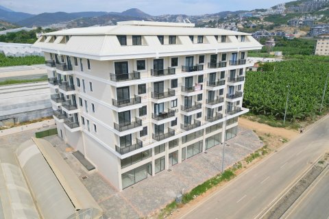 Daire 1+1 Kargıcak, Alanya, Antalya, Türkiye №106445 - 13