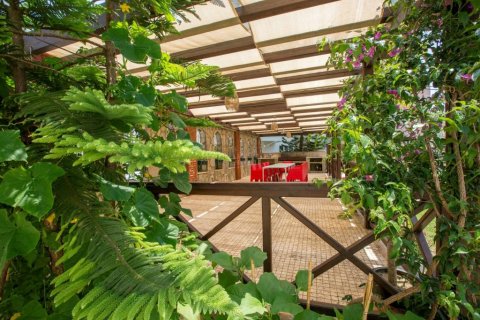 4+1 Leilighet  i Alanya, Antalya, Tyrkia Nr. 218856 - 27