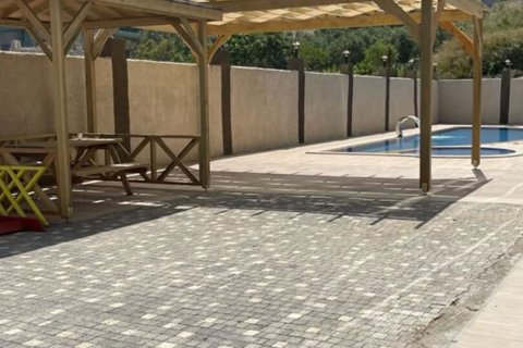 1+1 Leilighet i Alanya, Antalya, Tyrkia Nr. 228220 - 11