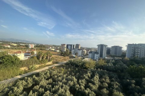 1+1 Wohnung in Alanya, Antalya, Türkei Nr. 228216 - 1