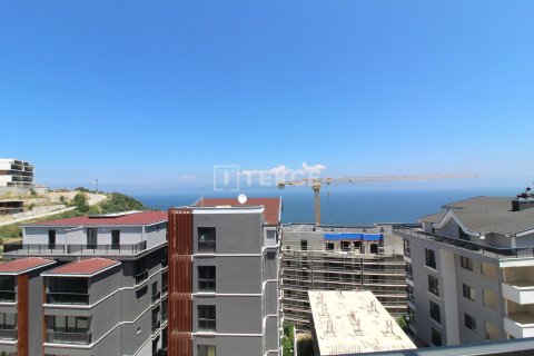 3+1 Lägenhet i Mudanya, Bursa, Turkiet Nr. 226529 - 25
