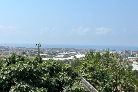 1+1 Lejlighed  i Alanya, Antalya, Tyrkiet Nr. 228356