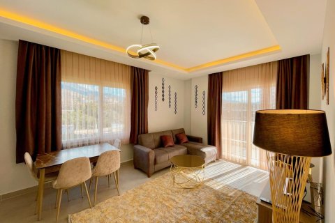 1+1 Wohnung  in Alanya, Antalya, Türkei Nr. 211926 - 2