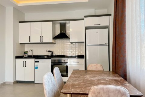 1+1 Wohnung  in Alanya, Antalya, Türkei Nr. 211926 - 6