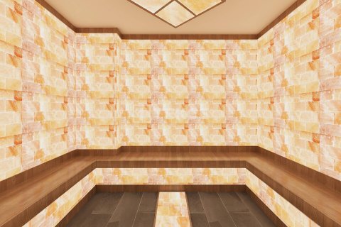 1+1 Lejlighed  i Alanya, Antalya, Tyrkiet Nr. 215349 - 22