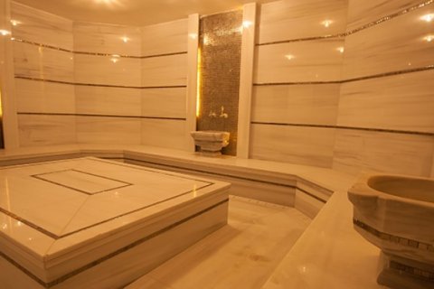 4+1 Villa  i Bueyuekcekmece, istanbul, Turkiet Nr. 228995 - 13