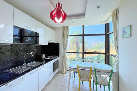 1+0 Wohnung in Kestel, Schleimbeutel, Türkei Nr. 225405 - 5