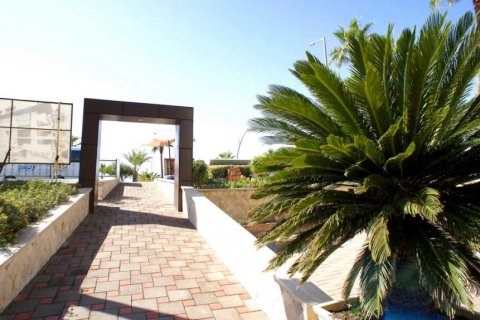 Квартира 2+1 в Аланье, Анталья, Турция №234136