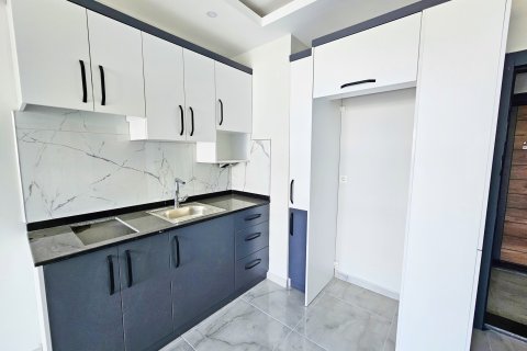 Аренда квартиры  в Аланье, Анталье, Турция 1+1, 50м2, №216459 – фото 2