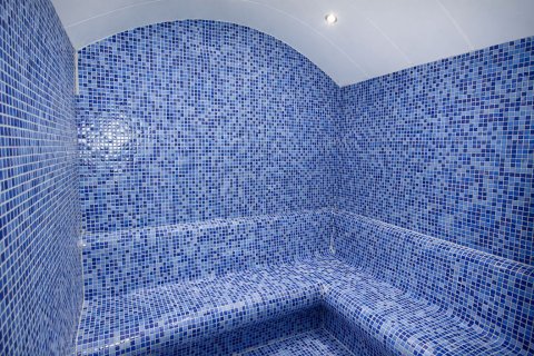 2+1 Wohnung  in Alanya, Antalya, Türkei Nr. 223298 - 12