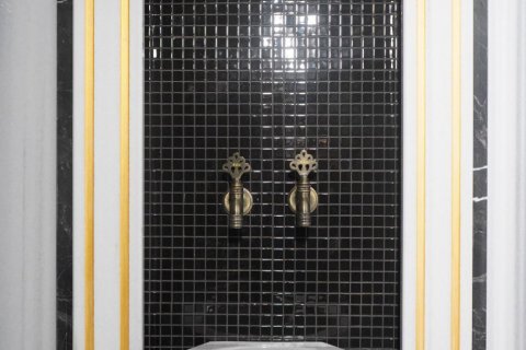 1+1 Lejlighed  i Alanya, Antalya, Tyrkiet Nr. 223370 - 15