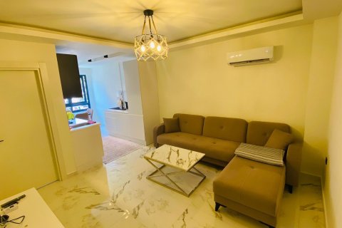 آپارتمان در Alanya ، ترکیه 1 خوابه ، 52 متر مربع. شماره 216296 - 11