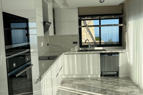 4+1 Villa  i Antalya, Tyrkiet Nr. 222892 - 10