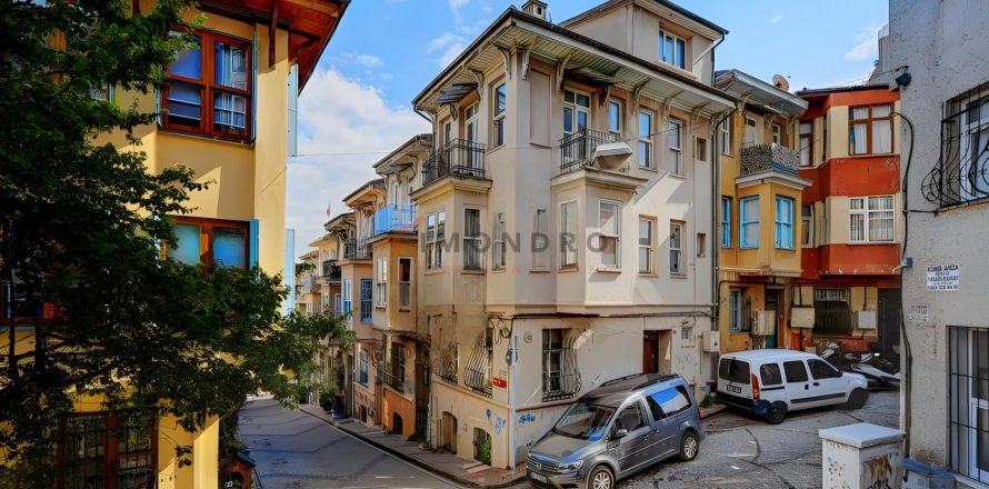 4+1 Villa in Fatih, Istanbul, Turkey No. 237761
