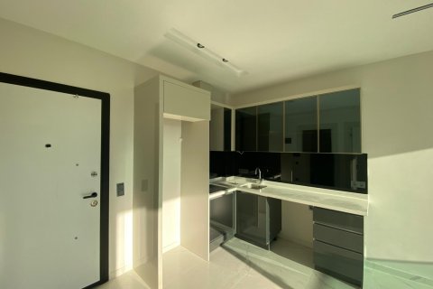 1+1 Wohnung in Alanya, Antalya, Türkei Nr. 216907 - 9