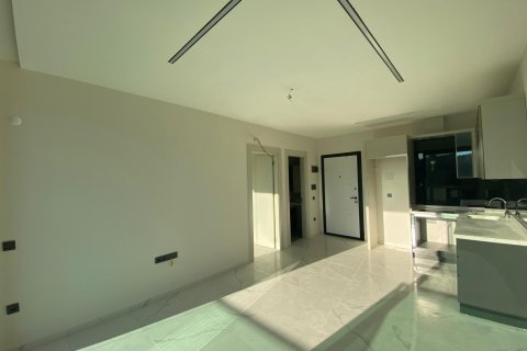 1+1 Wohnung in Alanya, Antalya, Türkei Nr. 216907 - 8