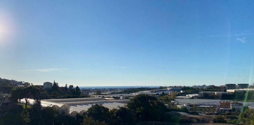 1+1 Wohnung in Alanya, Antalya, Türkei Nr. 216907