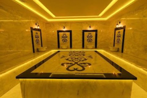 1+1 Wohnung in Alanya, Antalya, Türkei Nr. 216907 - 21