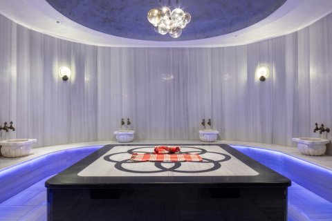 1+1 Lägenhet  i Alanya, Antalya, Turkiet Nr. 216908 - 25