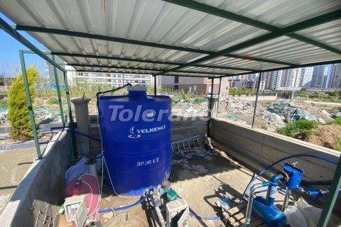1+1 Wohnung in Mersin, Türkei Nr. 227748 - 17