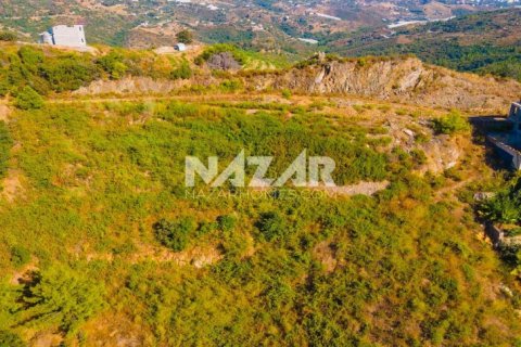 آپارتمان در  Alanya ، ترکیه 545 متر مربع.  شماره 222278 - 20