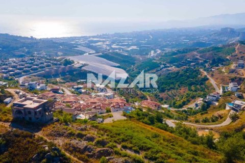 آپارتمان در  Alanya ، ترکیه 545 متر مربع.  شماره 222278 - 10