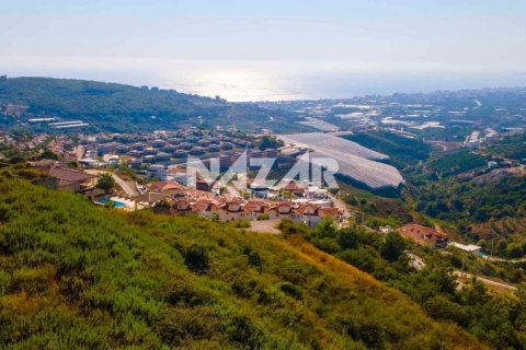 آپارتمان در  Alanya ، ترکیه 545 متر مربع.  شماره 222278