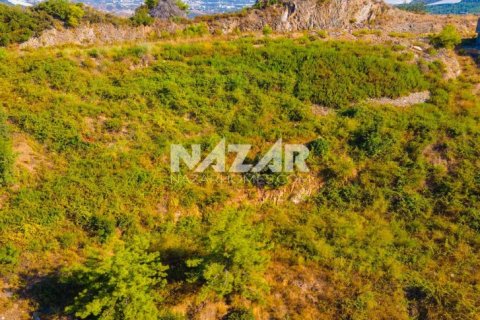 آپارتمان در  Alanya ، ترکیه 545 متر مربع.  شماره 222278 - 21