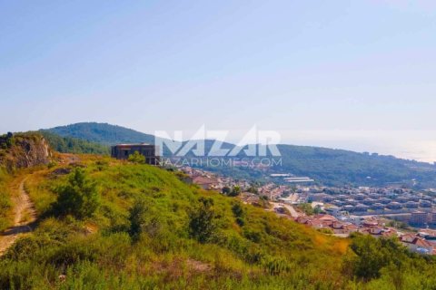 آپارتمان در  Alanya ، ترکیه 545 متر مربع.  شماره 222278 - 11