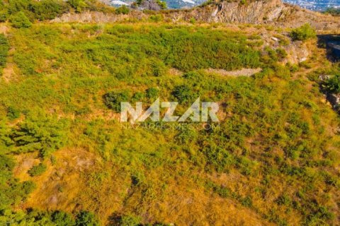 آپارتمان در  Alanya ، ترکیه 545 متر مربع.  شماره 222278 - 9