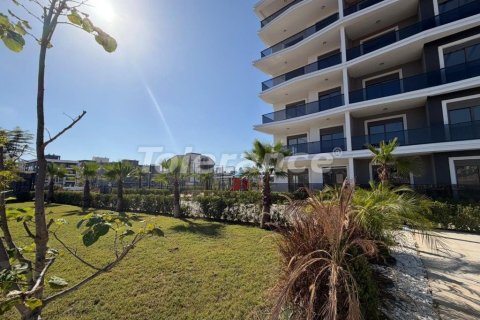 Daire  1+1  Antalya, Türkiye №222320 - 10