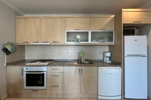 2+1 Wohnung  in Alanya, Antalya, Türkei Nr. 216703 - 17