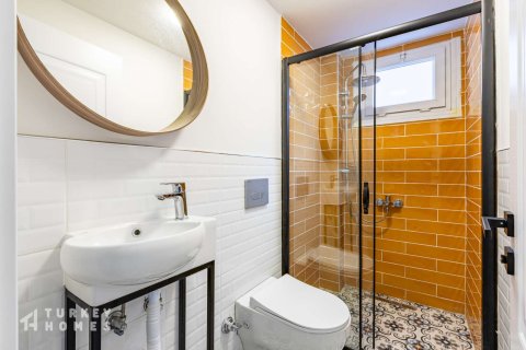 Gewerbeimmobilien  in Istanbul, Türkei Nr. 232983 - 14