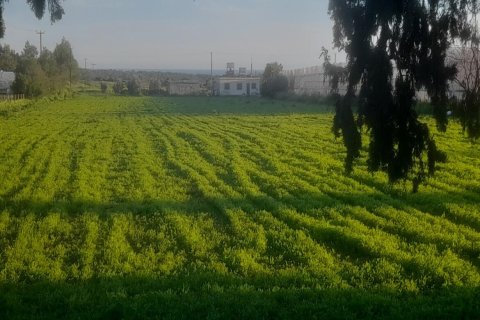 Продажа земельного участка  в Дипкарпасе, Искеле, Северный Кипр, 7900м2, №214564 – фото 3