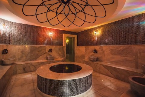 1+1 Wohnung  in Alanya, Antalya, Türkei Nr. 218270 - 16