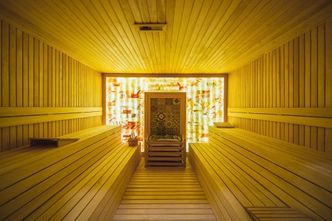 1+1 Wohnung  in Alanya, Antalya, Türkei Nr. 218270 - 17