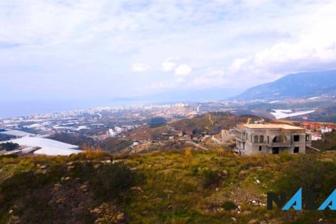 Apartment for sale  in Alanya, Antalya, Turkey, 625m2, No. 213044 – photo 21