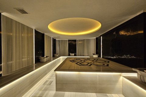 1+1 Wohnung in Mahmutlar, Antalya, Türkei Nr. 225432 - 12