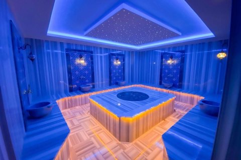 1+1 Leilighet i Alanya, Antalya, Tyrkia Nr. 225430 - 21