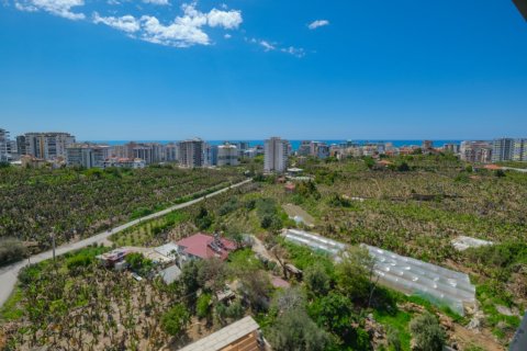 4+1 Lejlighed i Mahmutlar, Antalya, Tyrkiet Nr. 225433 - 30