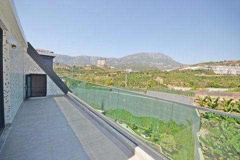 آپارتمان در  Alanya ، ترکیه 3 خوابه ، 150 متر مربع.  شماره 228681 - 28