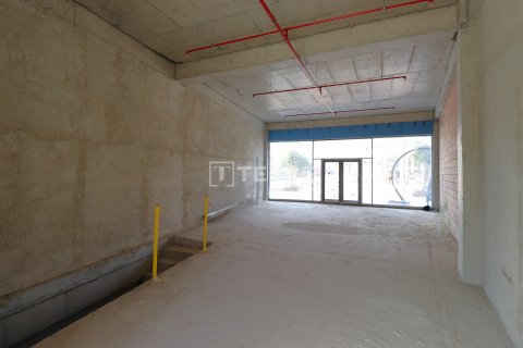 Gewerbeimmobilien  in Aksu, Antalya, Türkei Nr. 213536 - 8