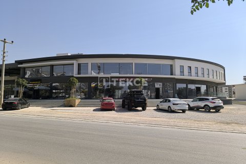 Аренда коммерческой недвижимости  в Аксу, Анталье, Турция, 220м2, №213536 – фото 2