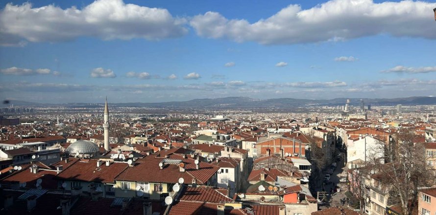 3+1 Apartment  in Bursa, Turkey No. 233292